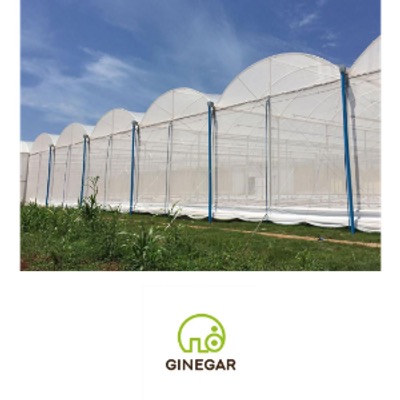 Malla Anti-insectos